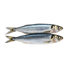 Obraz premium Two fresh sardines isolated on transparent background
