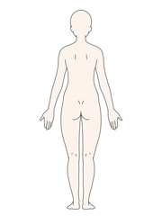 Fototapeta premium 解剖学的正位 女性 背面 カラー