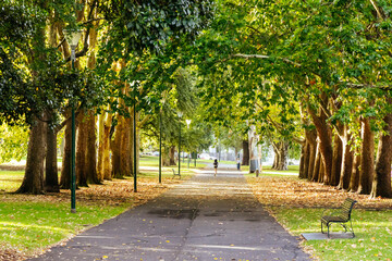 Carlton Gardens in Melbourne Australia