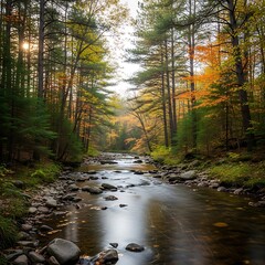 Autumnal Forest Stream, Tranquil Nature Scene, Fall Colors.