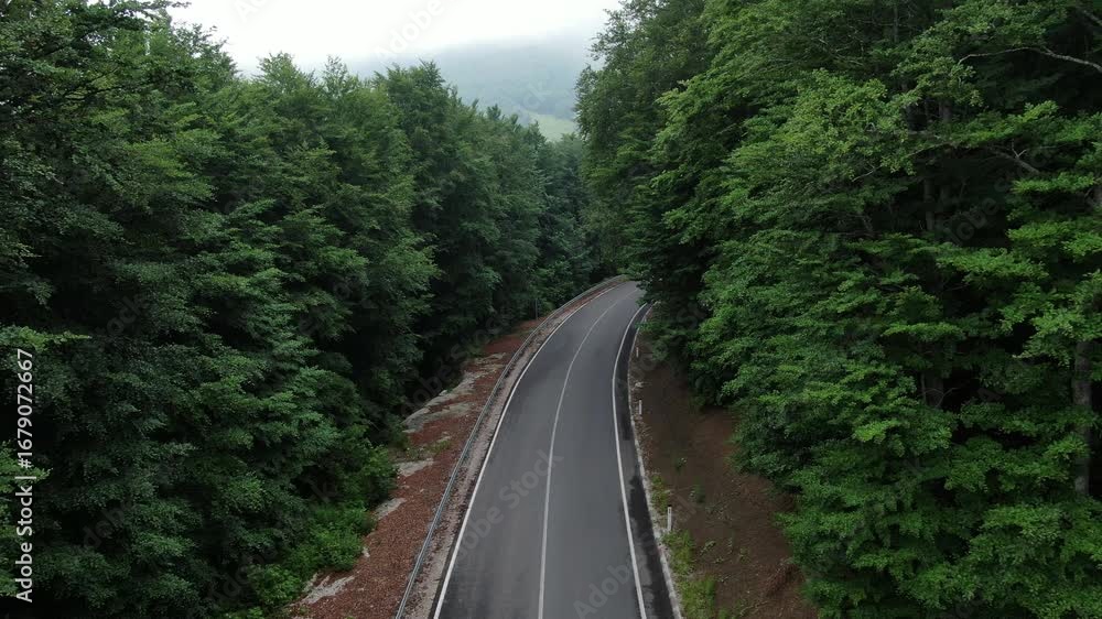 Poster road curves through a forest landscape trees line the path creating a tunnel like effect overcast sk
