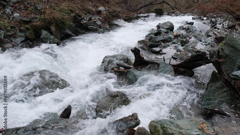 Poster a fast flowing stream rushes over rocks in slow motion creating white water vegetation and tree bran