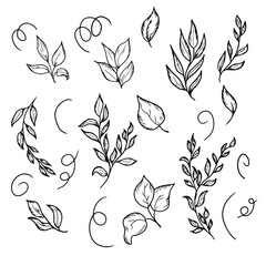 Leaves and twigs, black and white sketch, simple drawing. Vector illustration. Floral pattern and swirls, isolated on a white background. For postcards, wedding invitations, logos and advertising 