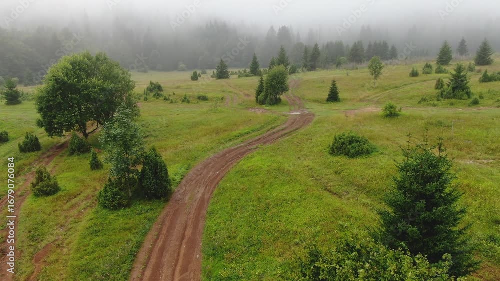 Poster a dirt path goes through a grassy area with trees and a foggy forest in the background