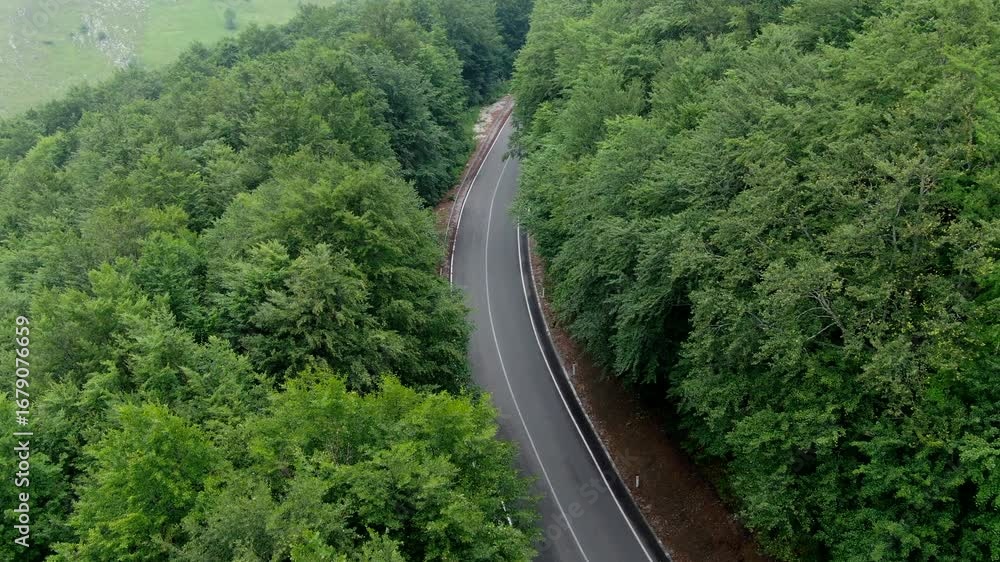 Poster road through a forest with trees on both sides of the asphalt road the road curves slightly as it cu