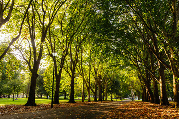 Carlton Gardens in Melbourne Australia