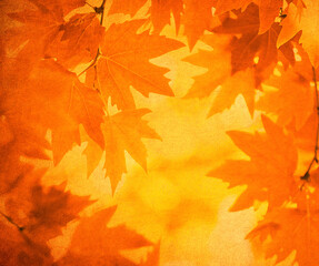 Autumn leaves over vintage background. Perfect grunge fall texture.