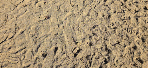 Fine sand texture – high-resolution natural grain surface for backgrounds