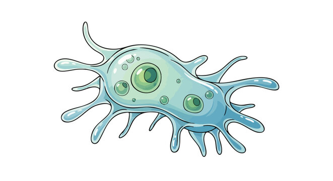 Detailed illustration showcasing a microscopic amoeba, emphasizing its gelatinous structure and pseudopod extensions, set against a plain white