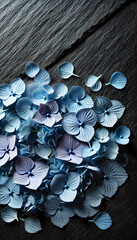 Blue Hydrangea Petals Scattered on Dark Slate Surface, 3:4