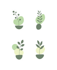 Set of Four Simple Minimalist Abstract Green Potted Plant Illustrations with Organic Shapes in Bright Studio