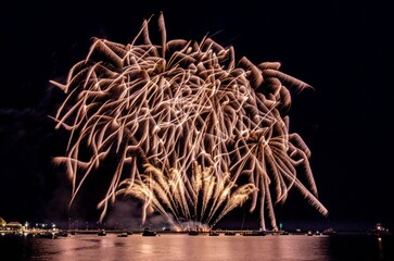 Fireworks over calm waterfront at night.