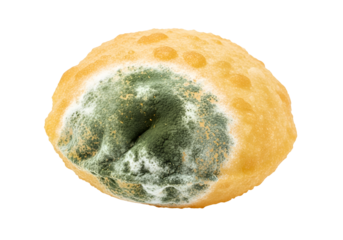 Close-up view of a round food item with visible mold growth, exhibiting a striking contrast between the healthy, yellowish-orange exterior and the greenish-gray moldy area.