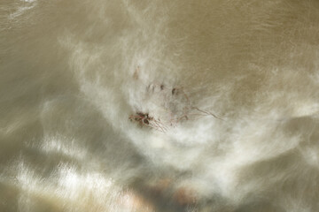 A branch in tumbling waters