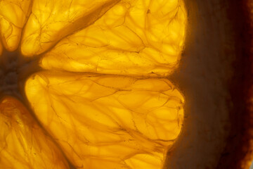 The orange is sliced open to reveal its juicy, fibrous interior