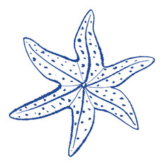 Starfish line art drawing isolated on white background. Vector hand drawn blue ink sketch illustration of sea animal for branding elements, home decor, notebook covers, apparel print, stickers, tag