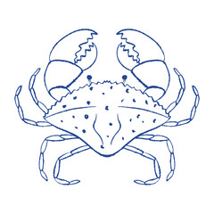 Minimalistic crab drawing in simple continuous blue ink line. Vector outline hand drawn illustration for fabric print, packaging design, logo, stationery, interior decoration
