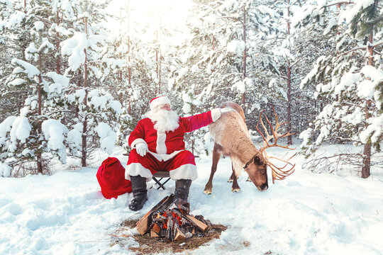 Authentic Santa Claus with a reindeer and a bag of gifts sits by a fire in a snowy forest.