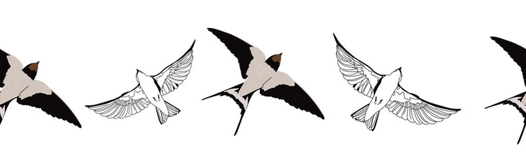 Border icon border. Bird feather silhouette symbol. Bird border isolated on white background	
