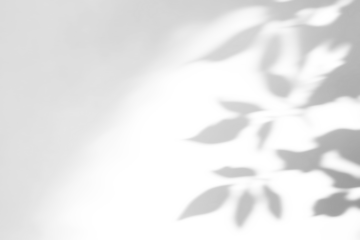 shadow overlay effects of realistic abstract natural tree leaves shadow on wall background,Summer sunlight dappled shadow overlay effect,abstract shadow background with leaves