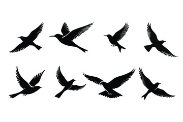 Silhouette of flying Birds.