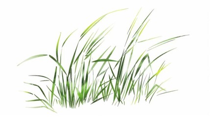 Obraz premium Close-Up of Lush Green Flora: Isolated Moss & Leaf Texture on White Background for Nature Design