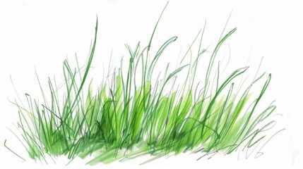 Close-Up of Lush Green Flora: Isolated Moss & Leaf Texture on White Background for Nature Design