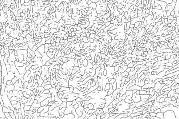 Obraz premium Vector lineart illustration texture pattern backdrop