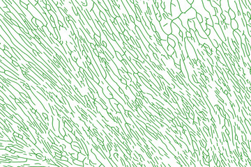 Lines art illustration texture pattern background