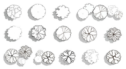 Vector set of Top view  tree for outdoor plan or map and architecture drawing, elements for environment and garden ,botanical elements ,Blooming flowers in spring,tropical plants ,freehand drawing 