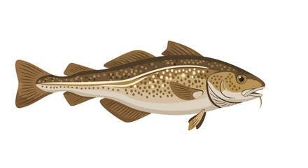 Detailed vector illustration showcasing a cod fish with its characteristic brown and speckled markings against a pristine white backdrop