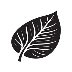 Obraz premium Leaf vector art black and white