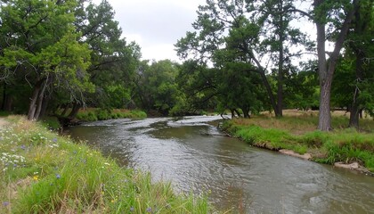 Serene riverbanks, shaded by lush green trees, offering a tranquil escape in nature.