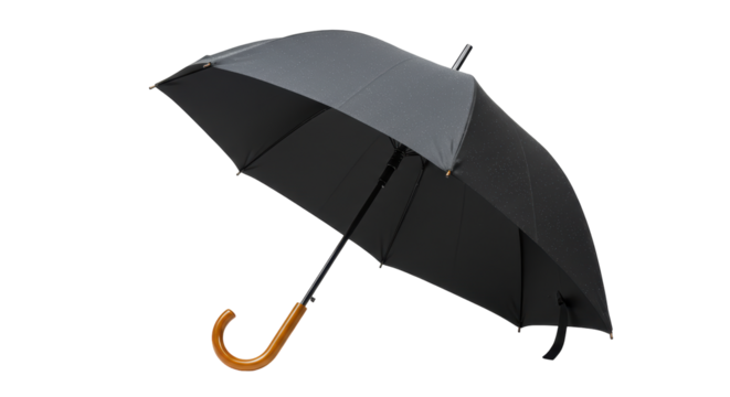 Isolated Black Umbrella