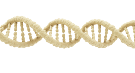 Isolated DNA Helix Strand