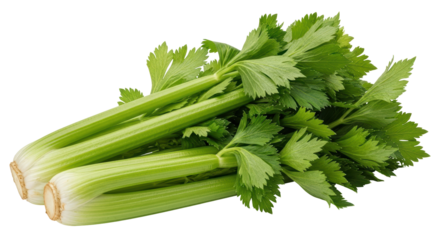 Isolated Bunch of Celery