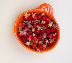 Fresh ripe red berries of wild forest strawberries in orange bowl. Top view. Pastel background.