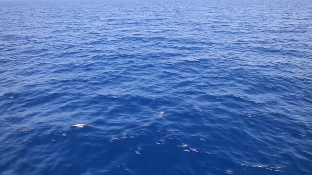 南国の美しい海