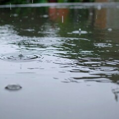 Rain droplets on a wet surface
