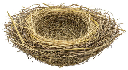 Isolated Bird Nest