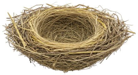 Isolated Bird Nest