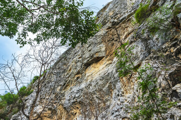 View of large honeycomb or beehives perched on beautiful rock cliff cave with worker bees perched on nest in forest. Honeybee swarm hanging on cliff in forest. Large Honeycomb nest on the rocks.