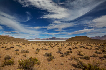 Northern Chile