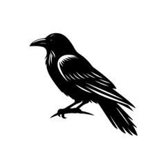 Crow 25 Vector Illustration | Dark Black Raven Bird Silhouette