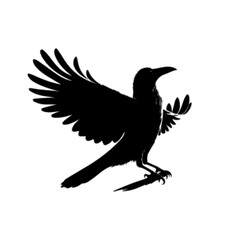Crow 26 Vector Illustration | Black Raven Dark Bird Artwork