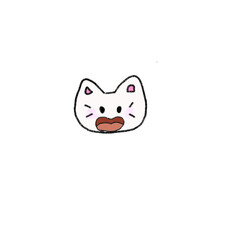 Fototapeta premium Happy cat