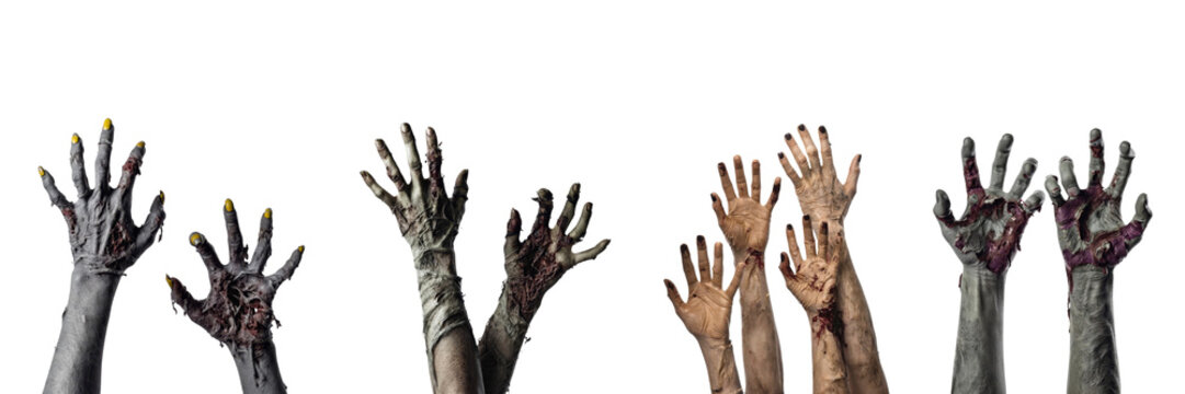Set of zombie hands isolated on transparent PNG background. Halloween scary undead monster hands, creepy horror body parts illustration - Powered by Adobe
