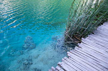 Wooden planks on the clear water of a lake with reeds