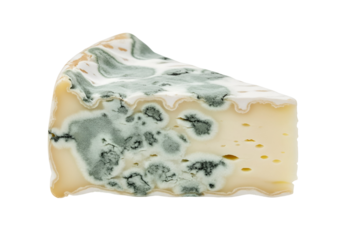Close-up of a wedge of aged cheese displaying a complex pattern of gray-green mold and porous interior.