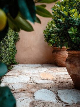 Close-up details of Tuscan nature with branches, leaves and plants. Rustic Mediterranean textures of grass, trees and vineyards in natural light